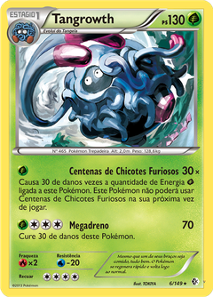 Card 6