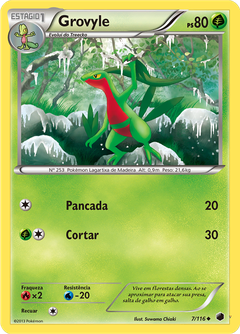 Card 7