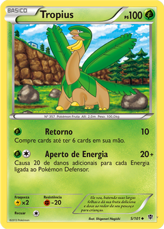 Card 5