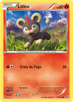 Card 19