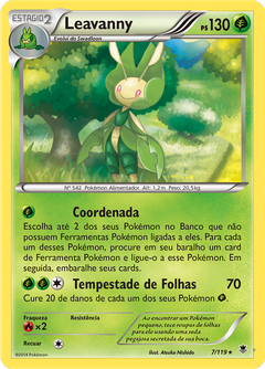 Card 7
