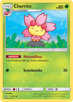Card 11