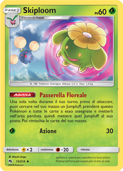 Card 13