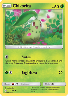 Card 5