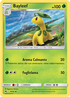 Card 7