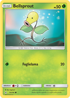 Card 13