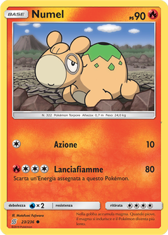 Card 23