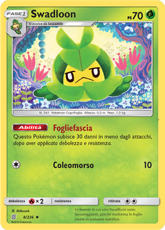 Card 8