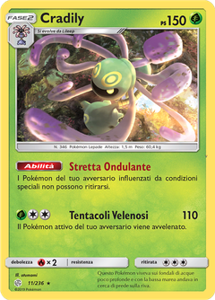 Card 11