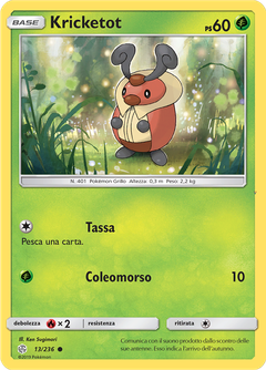 Card 13