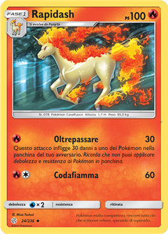 Card 24