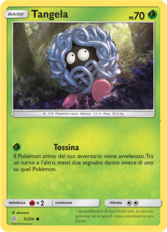 Card 5