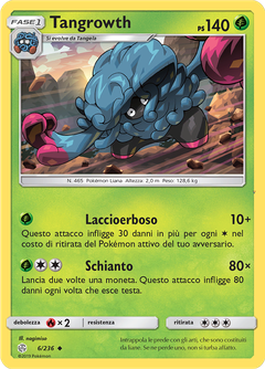 Card 6