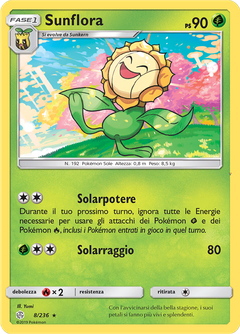 Card 8