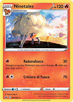 Card 23