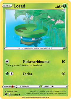 Card 7