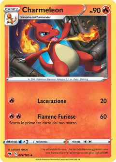 Card 24
