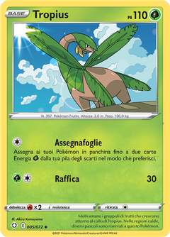 Card 5