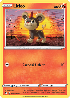 Card 22