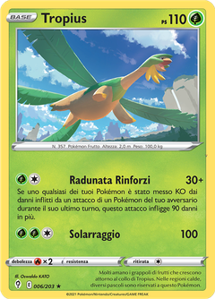 Card 6