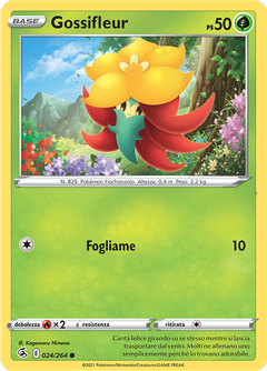 Card 24