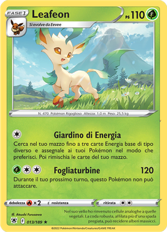 Card 13