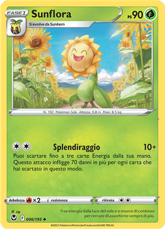 Card 6