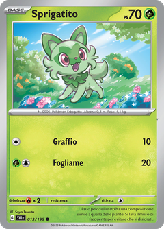 Card 13