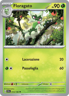 Card 14