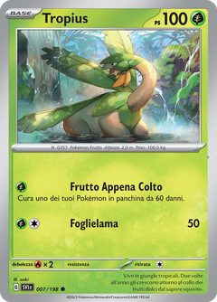 Card 7