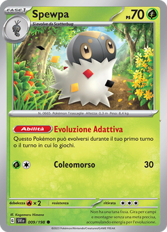 Card 9