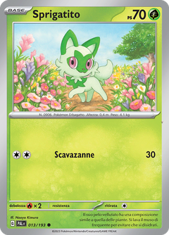 Card 13