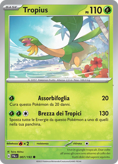 Card 7