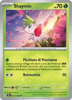 Card 13