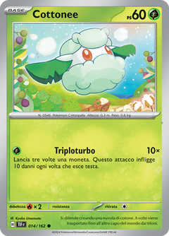 Card 14