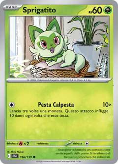 Card 16