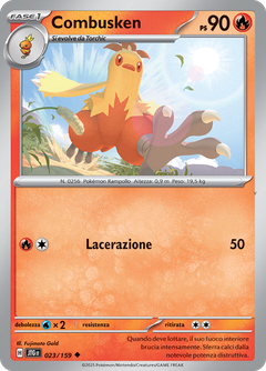 Card 23