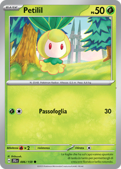 Card 6