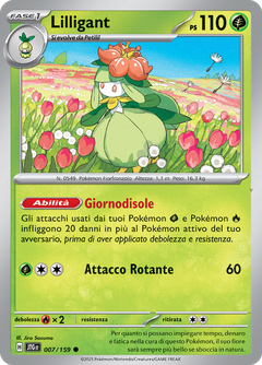 Card 7