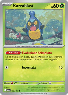 Card 9