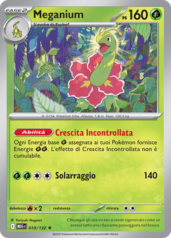 Card 10