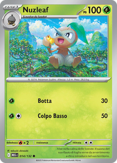 Card 14