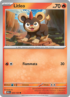 Card 23