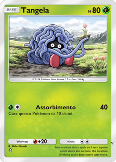Card 24