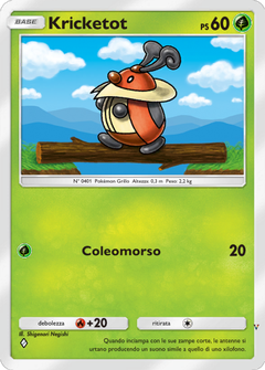 Card 13