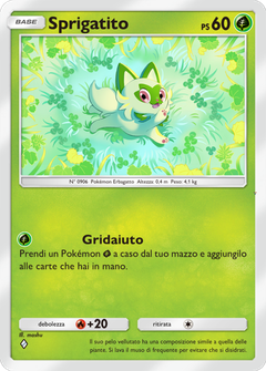 Card 5