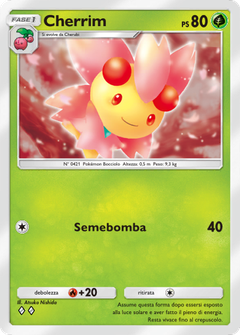 Card 24