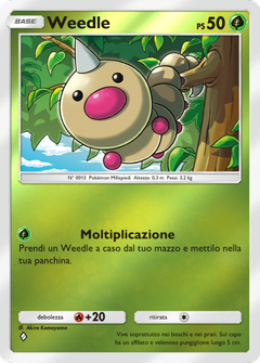 Card 7