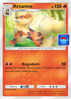 Card 13