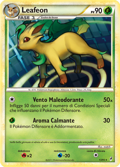 Card 13